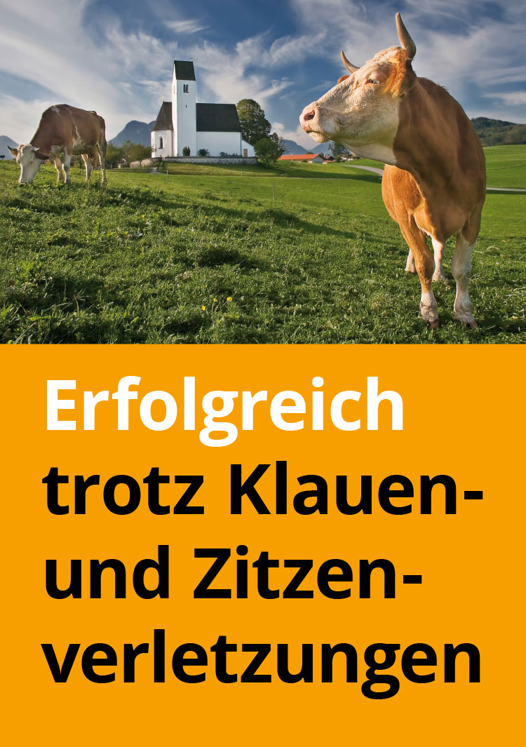 Erfolgreich trotz Klauen- und Zitzenverletzungen