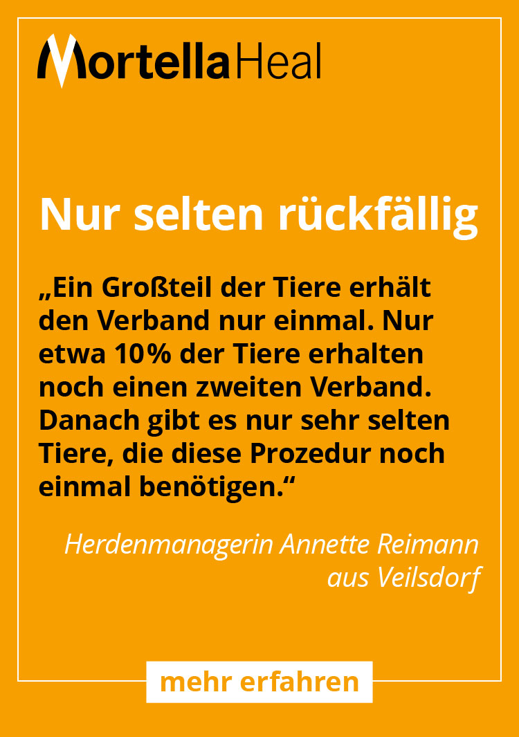 Ein Großteil der Tiere erhält den Verband nur einmal. Nur etwa 10 % der Tiere erhalten noch einen zweiten Verband. Danach gibt es nur sehr selten Tiere, die diese Prozedur noch einmal benötigen.