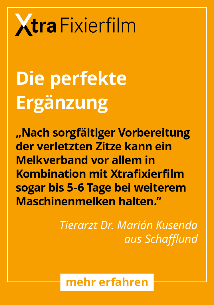 Nach sorgfältiger Vorbereitung der verletzten Zitze kann ein Melkverband vor allem in Kombination mit Xtrafixierfilm sogar bis 5-6 Tage bei weiterem Maschinenmelken halten.