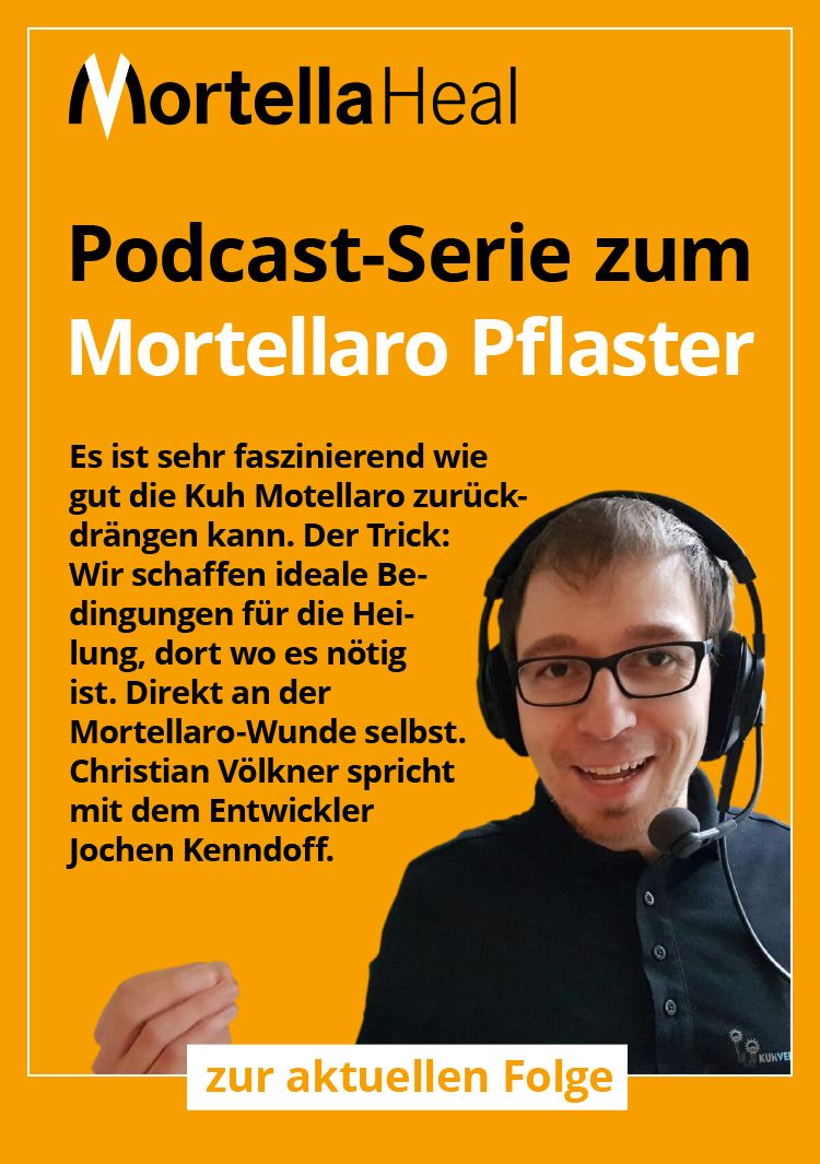 4-teilige Podcast-Serie